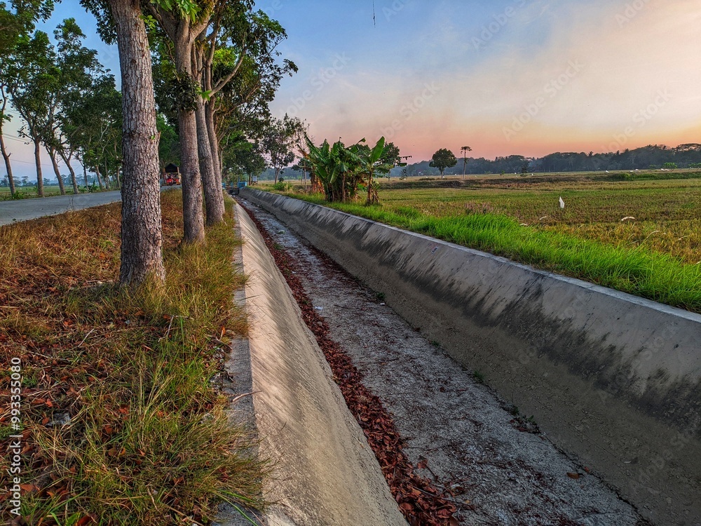 Fototapeta premium Photos of irrigation canals in rice paddy areas that have dried up due to the impact of long drought and climate change. 