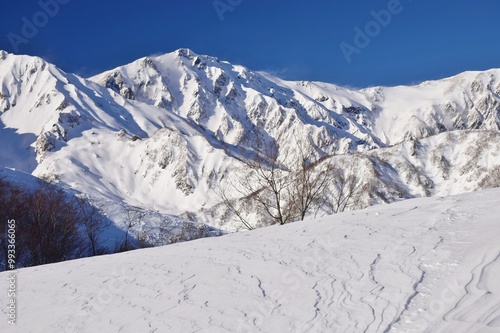 Winter scenery in Hakuba snow resort, Nagano photo