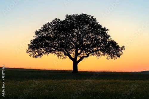 A lone tree stands silhouetted against a vibrant sunset sky, casting a long shadow on the grassy field.