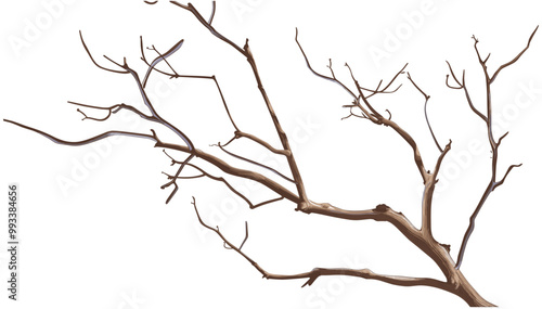 Dry tree branches isolated on white background vector illustration, old dry tree branch without leaves, naturally dry branch tree, barren branches silhouette vector, leafless tree branches art