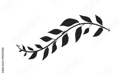black leaf silhouette without background