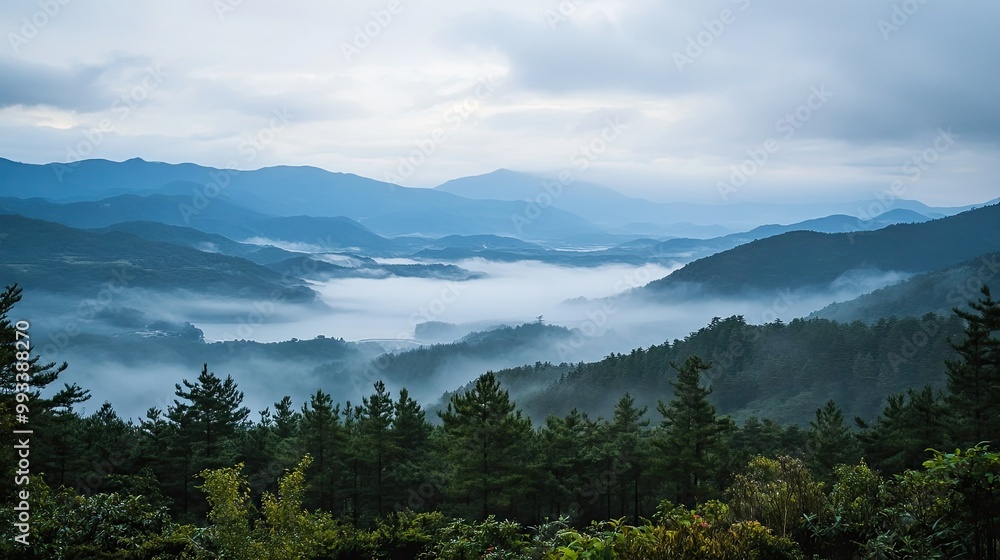 A misty morning view from Kurumayama Plateau, with soft fog rolling over the hills and Lake Shirakaba faintly visible in the distance. A misty morning view from Kurumayama Plateau, with soft fog rolling over the hills and Lake Shirakaba faintly visible in the distance.