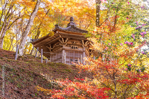 愛知県 香嵐渓の紅葉 