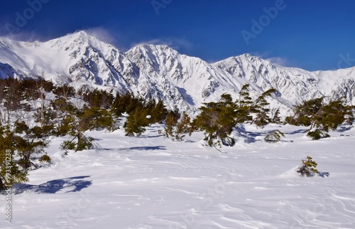 Winter scenery in Hakuba snow resort, Nagano photo