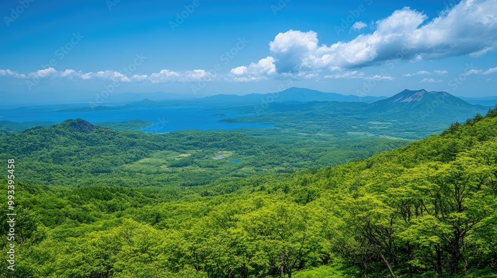 An elevated view from Kurumayama Plateau on a clear day, showing off the vibrant greenery and the shimmering Lake Shirakaba in the distance. An elevated view from Kurumayama Plateau on a clear day, showing off the vibrant greenery and the shimmering Lake Shirakaba in the distance.