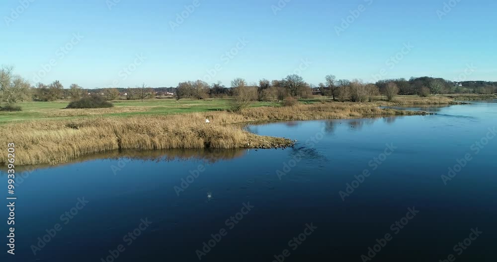 A drone follows the graceful flight of a bird (white heron) in the beautiful natural surroundings of a Odra river in Poland. A drone follows the graceful flight of a bird (white heron) in the beautiful natural surroundings of a Odra river in Poland.