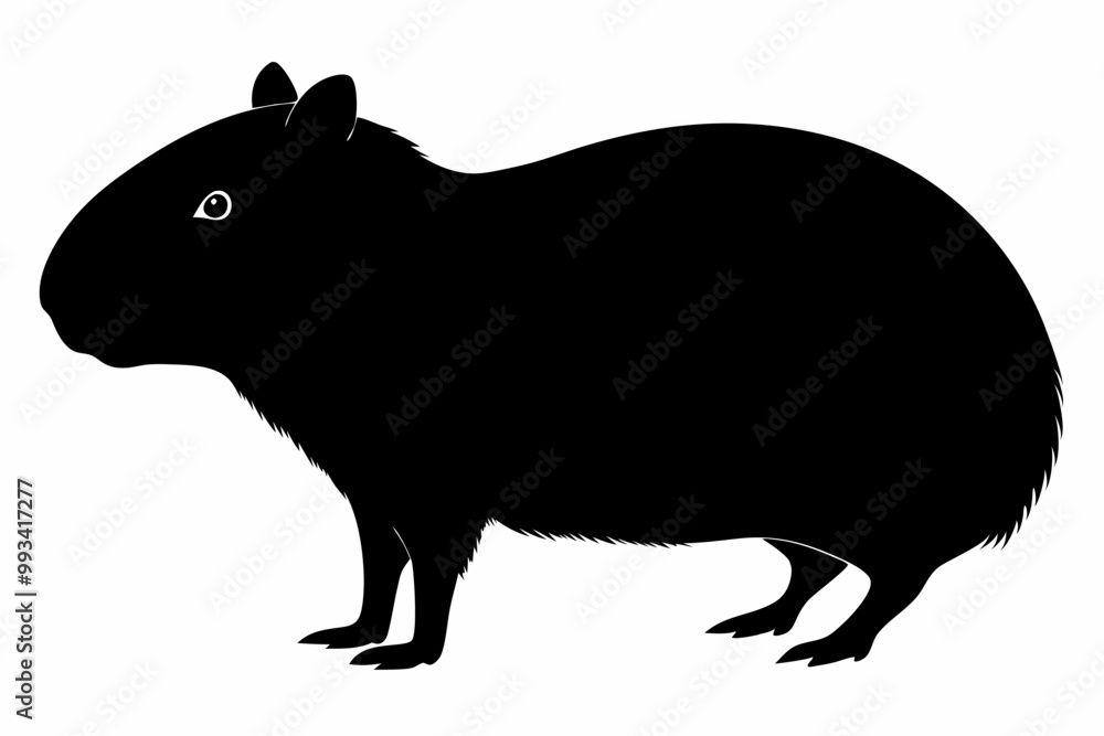 Obraz premium Сapybara Silhouette, Сapybara Animal Vector illustration 