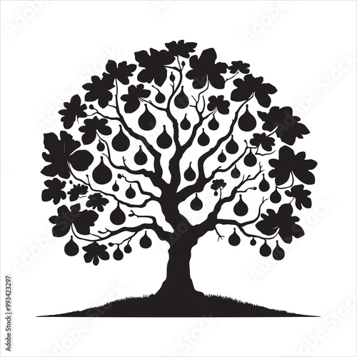 Fig tree silhouette on white background
