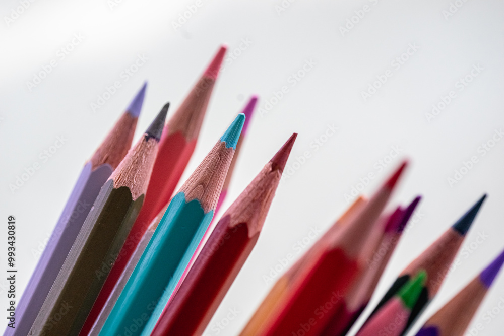 multicolored school pencils with the lead facing up multicolored school pencils with the lead facing up