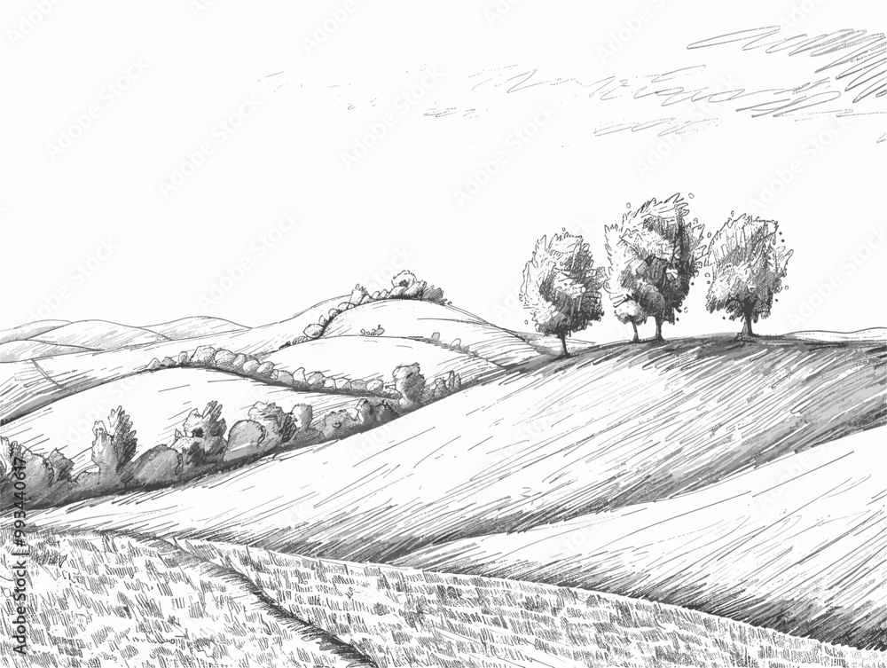 Fototapeta premium white background, Countryside landscape with rolling hills - isolate on a rural background., drawings in pencil easy, very simple and isolate in the style of animated illustrations, white background