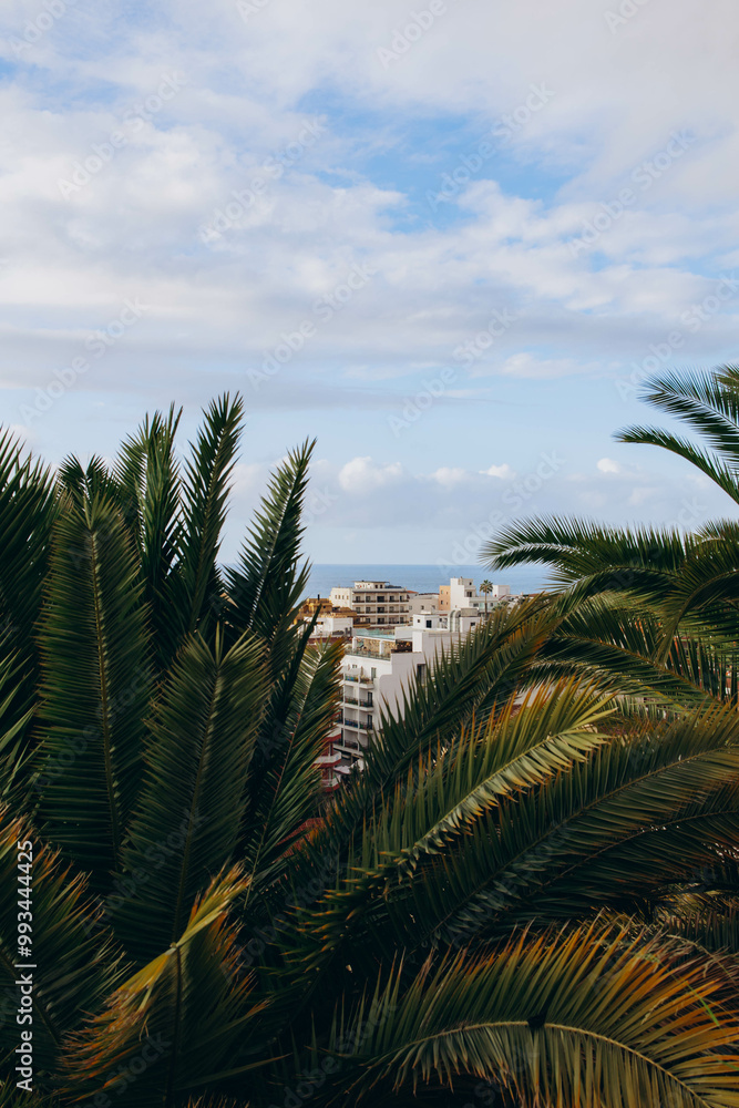 Spain, the island of Tenerife, a view of the city Puerto de la Cruz, and Atlantic Ocean Spain, the island of Tenerife, a view of the city Puerto de la Cruz, and Atlantic Ocean