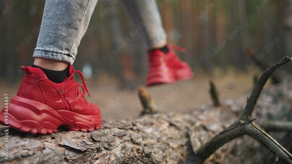 Fototapeta premium girl walking through the forest. nature dream concept. a girl walks through the autumn forest along a fallen tree in the landscape of a coniferous evening forest. girl in red sneakers walks