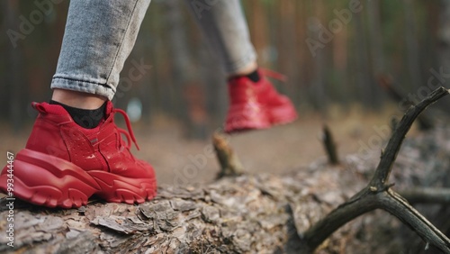 girl walking through the forest. nature dream concept. a girl walks through the autumn forest along a fallen tree in the landscape of a coniferous evening forest. girl in red sneakers walks