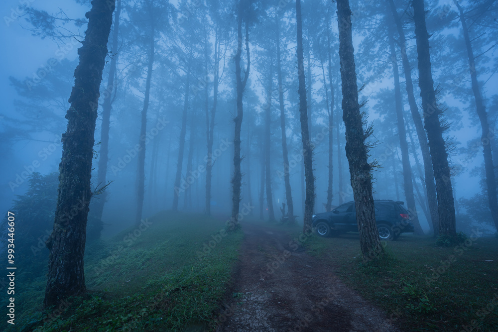 Obraz premium Beautiful scenery of the mist in the morning at the Camp Car Camping Site nature of Huai Nam Dang National Park the famous place of travel attraction destination at Chiang Mai, Thailand.