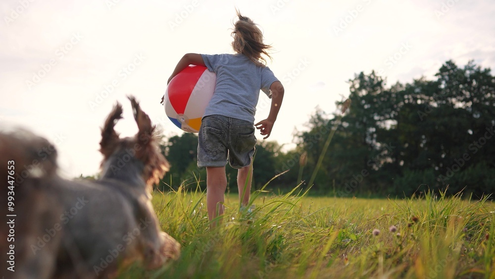 girl runs with a ball and a dog. happy family child dream concept. girl daughter running through a field of green grass in the park, playing with a ball and a dog leading a pet lifestyle