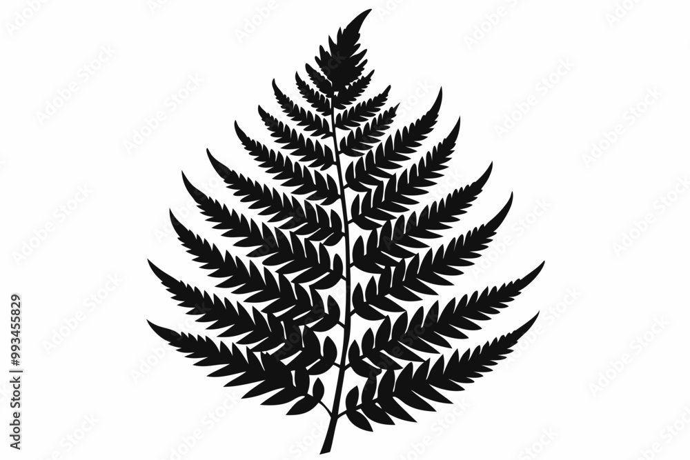 fern leaf vector, silhouette of a forest fern leaf fern leaf vector, silhouette of a forest fern leaf