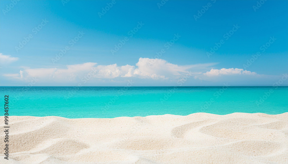 Obraz premium Tropical Beach with White Sand and Clear Blue Water