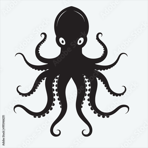 octopus illustration and animal vector, 