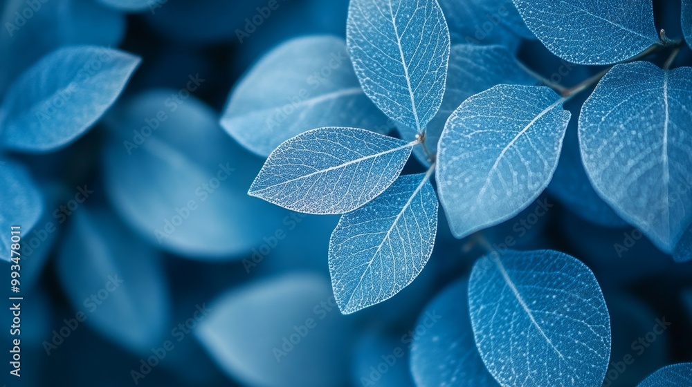 Blue Leaf Texture. Blue Leaf Texture.