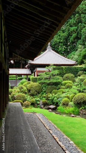 Japanese garden in Hamamatsu photo