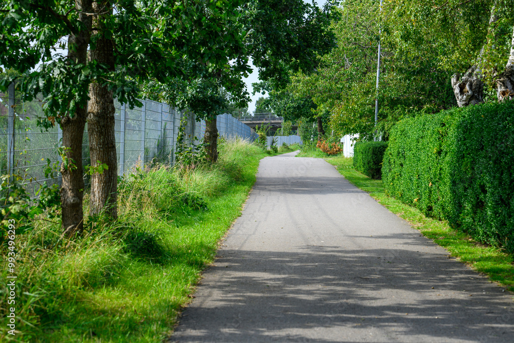 A peaceful pathway bordered by trees and neatly trimmed hedges invites a stroll on a bright, sunny day, perfect for enjoying nature and tranquility A peaceful pathway bordered by trees and neatly trimmed hedges invites a stroll on a bright, sunny day, perfect for enjoying nature and tranquility