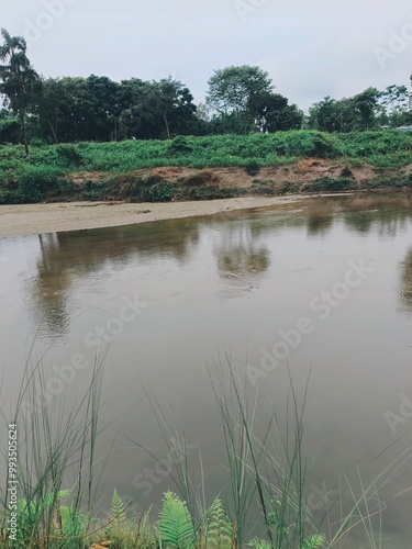 a river of  with trees and grass