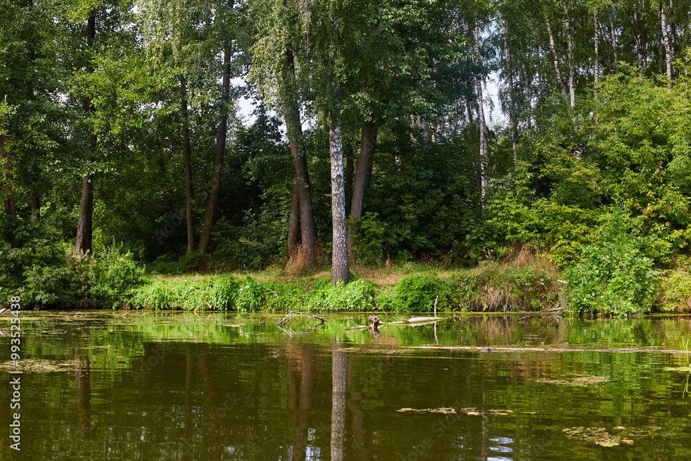The Psel river in the autumn. The Psel river in the autumn.