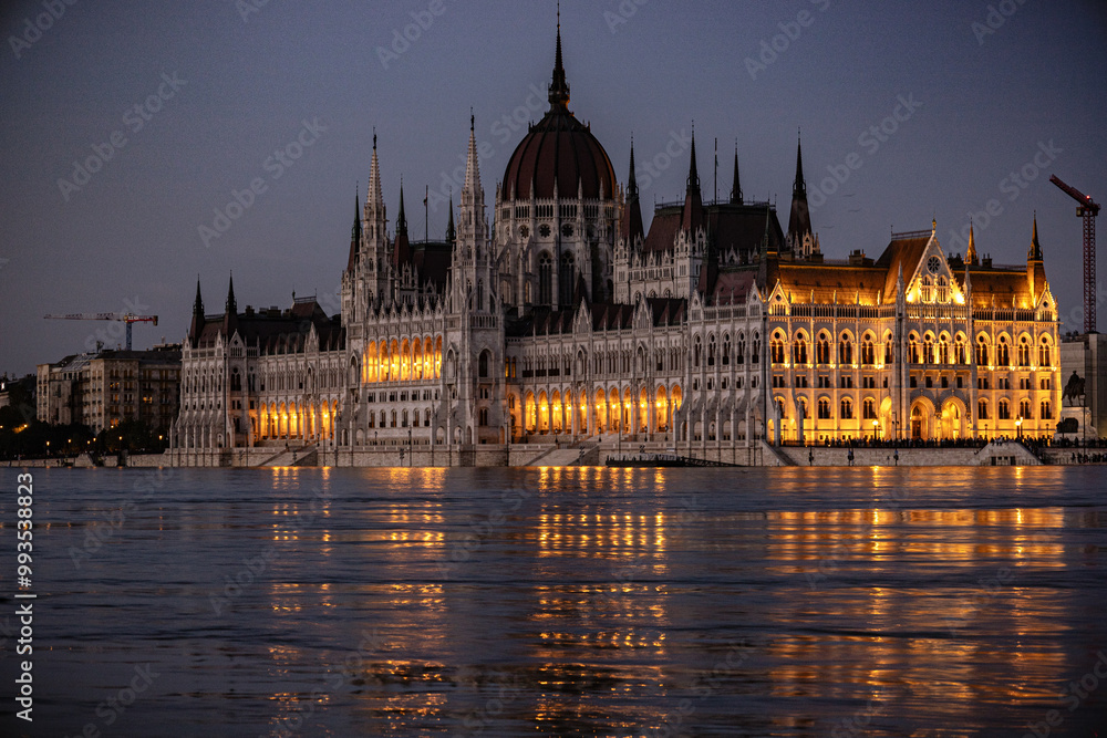 Fototapeta premium hungarian parliament building at night