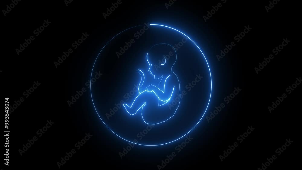 Glowing neon Human embryonic and fontal development. Neon human fetus inside the womb. human anatomy baby. Glowing neon Human embryonic and fontal development. Neon human fetus inside the womb. human anatomy baby.