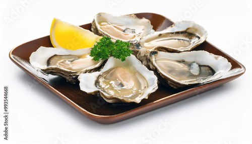 Fresh Oysters on a Brown Plate with Lemon and Parsley