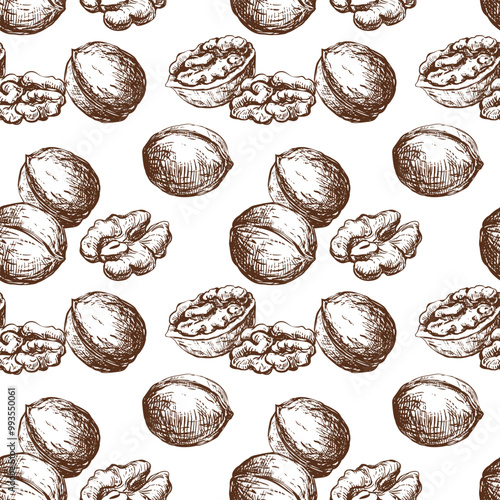 Hand drawn walnut sketch vector illustration. Seamless pattern walnut kernel, whole walnut, shell sketch icon. Fresh organic food, oil. Black and white nut drawing. Isolated on white background.