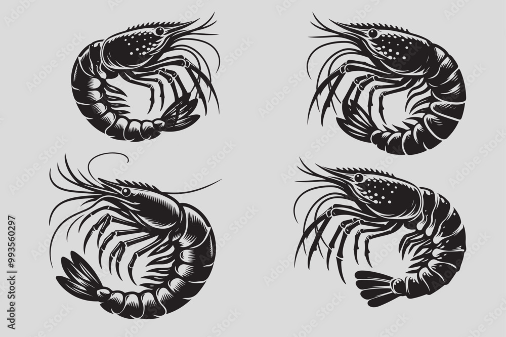 Shrimp vector Shrimp vector