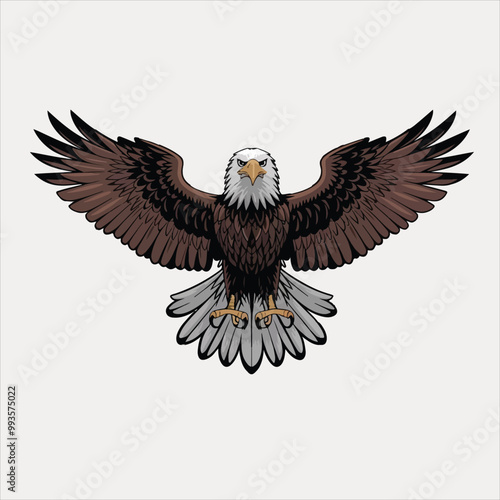 eagle vector and illustration