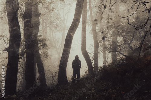 A supernatural demonic figure with glowing eyes. Standing in a spooky forest on a mysterious foggy winters day. With a grunge historic edit