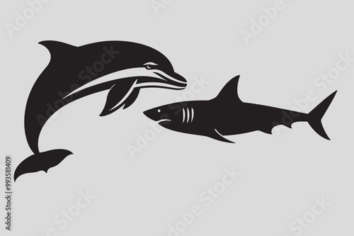 dolphin illustration