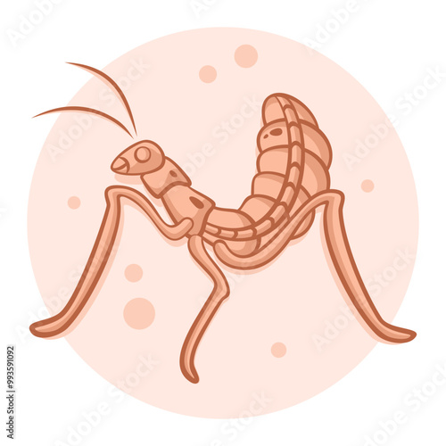 31-Nymph.svg