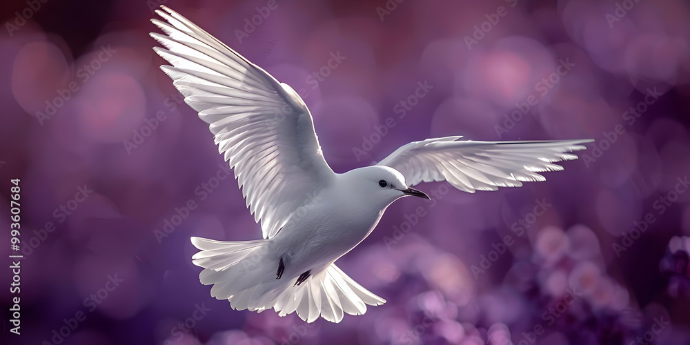 Obraz premium White Bird Soaring Through Purple Haze, Copy Space for Your Inspiration
