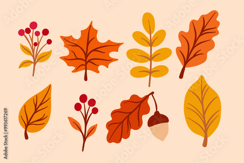 Autumn leaves, colorful leaf doodle, vector illustration, fall clip art set
