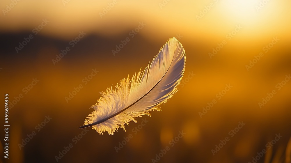 A single white feather floats gently in the air against a warm sunset sky. A single white feather floats gently in the air against a warm sunset sky.