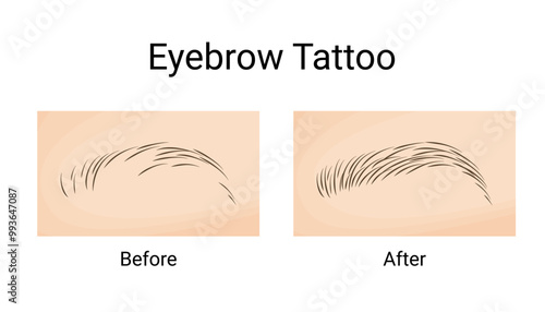 Hair Stroke Eyebrow Tattoo Transformation. Before and After.