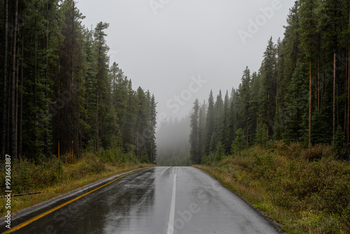 Looking along a wet rain-soaked single lane paved road that is surrounded by a dense forest of spruce and pine trees. Taken in Banff National Park. 