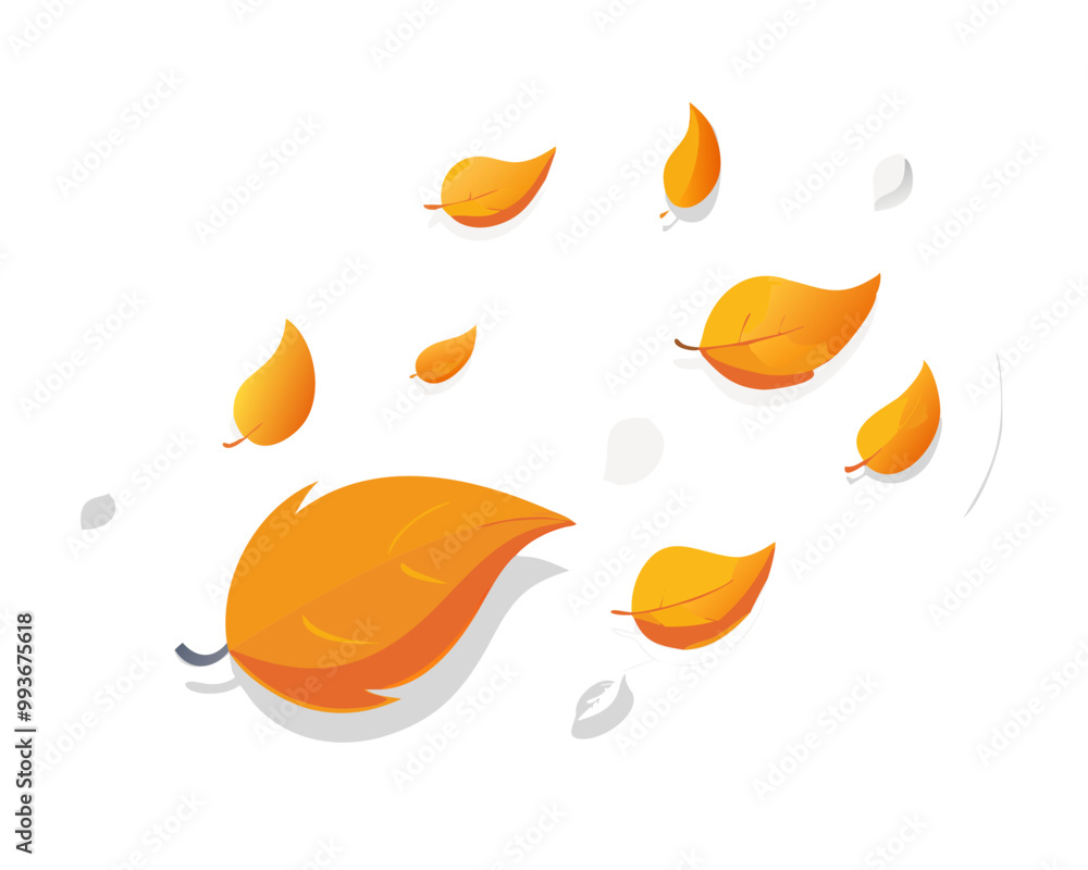 Fototapeta premium levitation of maple and oak autumn leaves on a white isolated background 