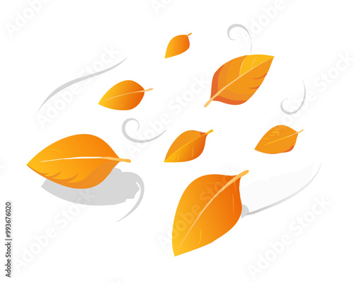 levitation of maple and oak autumn leaves on a white isolated background
