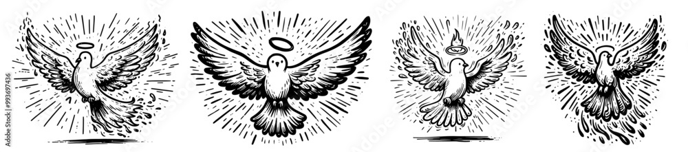 Obraz premium collection of holy doves designs in black and white vector line art