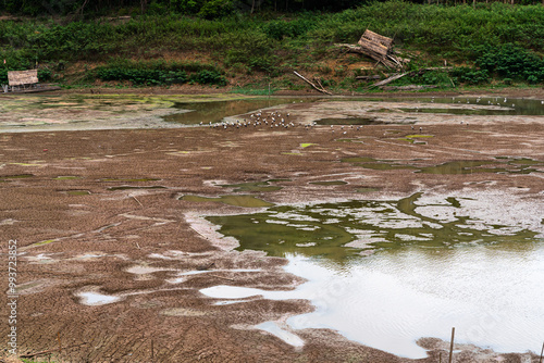 A flock of white and black birds, likely storks or herons, stands on the dried-up mud of a lake bed. The water level is low, exposing the cracked earth. There are small thatched huts on the shore.