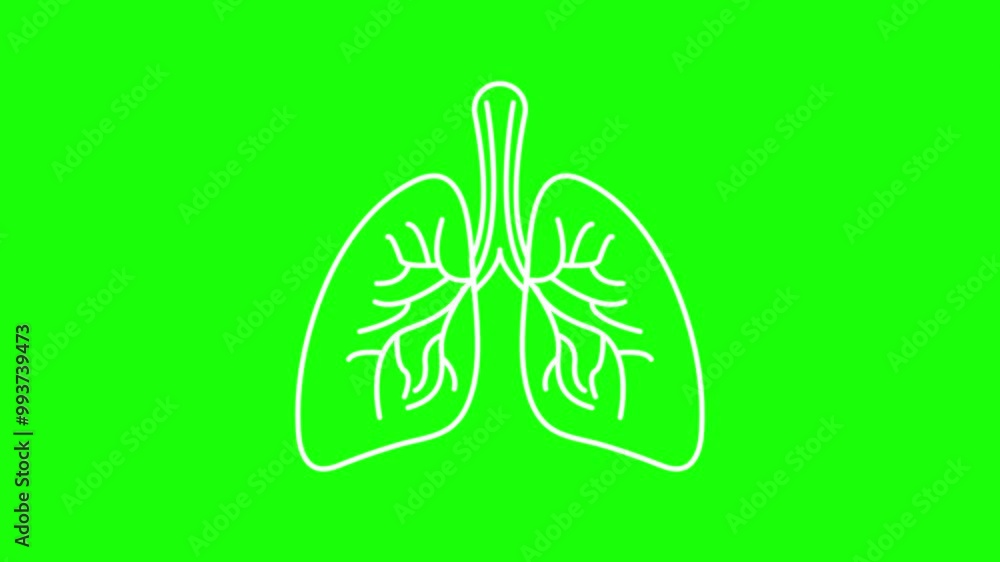 icon symbol lungs animated body organs respiration lungs and nerves pumping air human respiration looping 4k green screen icon icon symbol lungs animated body organs respiration lungs and nerves pumping air human respiration looping 4k green screen icon