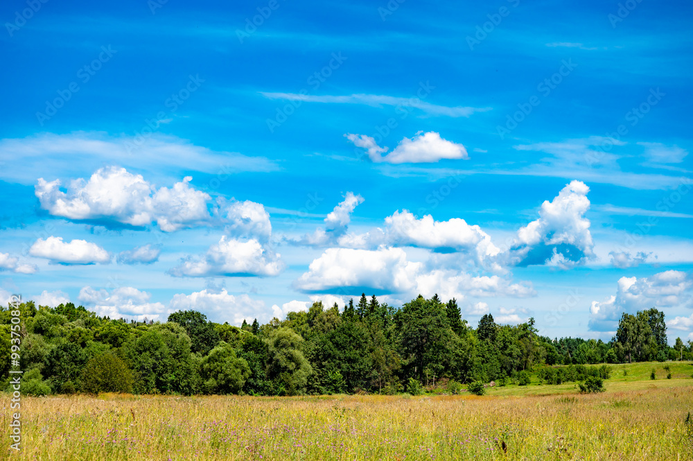 Obraz premium sky with clouds and field background panorama