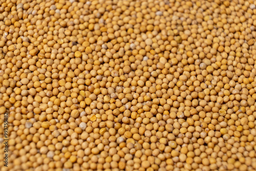 Yellow Dry Mustard Seed Background, Natural Organic Seasoning, Top View.