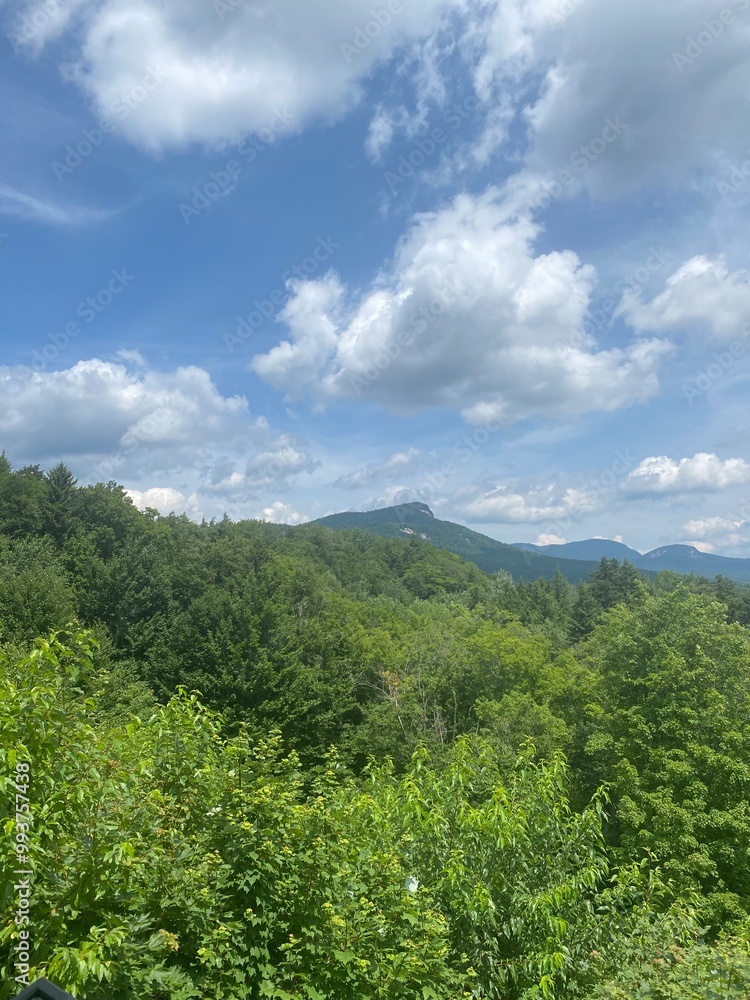 Obraz premium landscape with sky