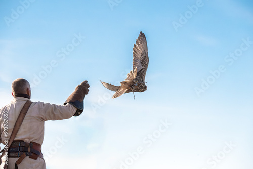 Canvastavla Hawk releasing a bird of prey into the sky, demonstrating traditional falconry i